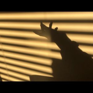 Meet your Posher, Petra